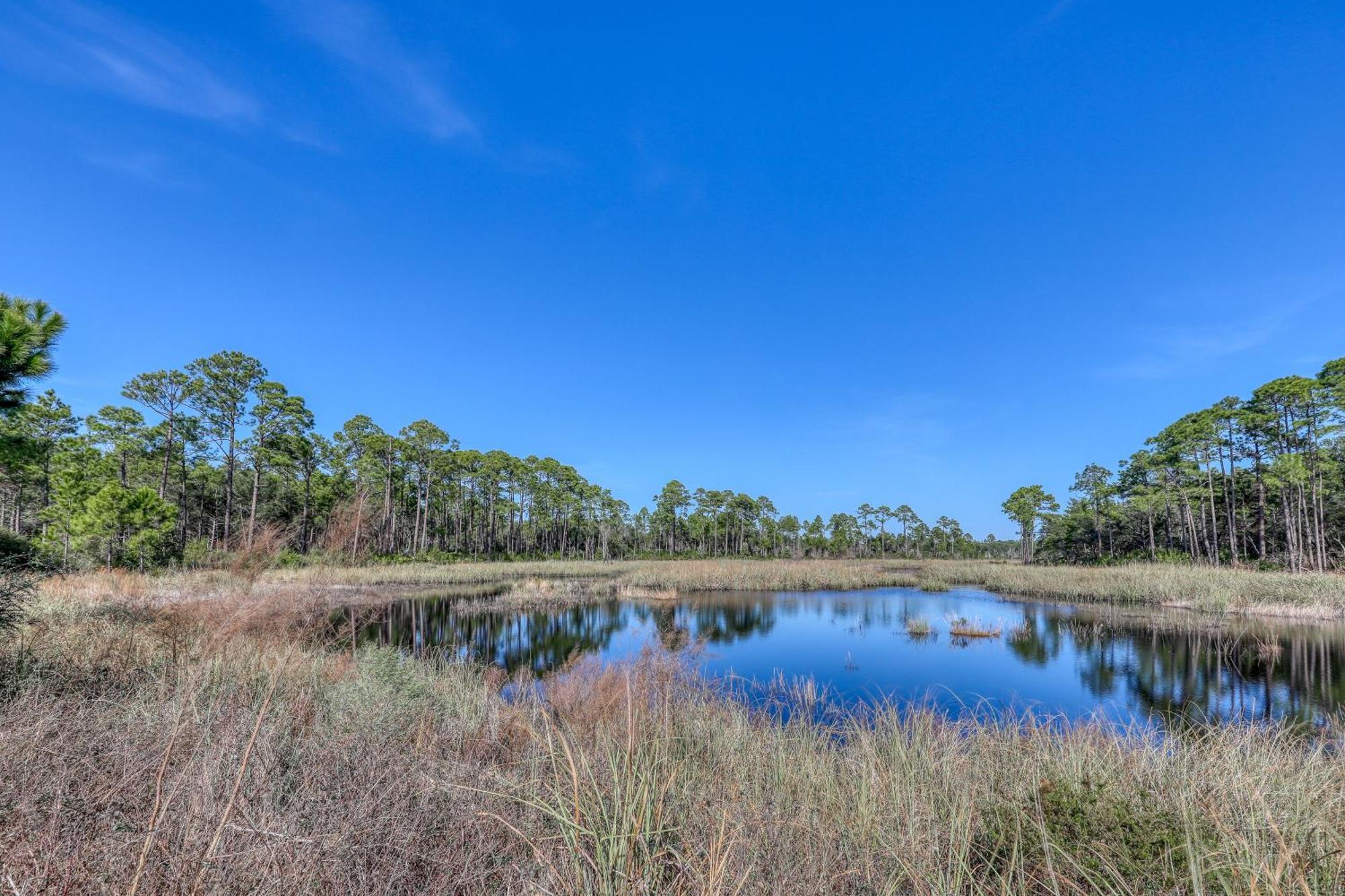 Village Of South Walton B247 Inlet Beach ภายนอก รูปภาพ