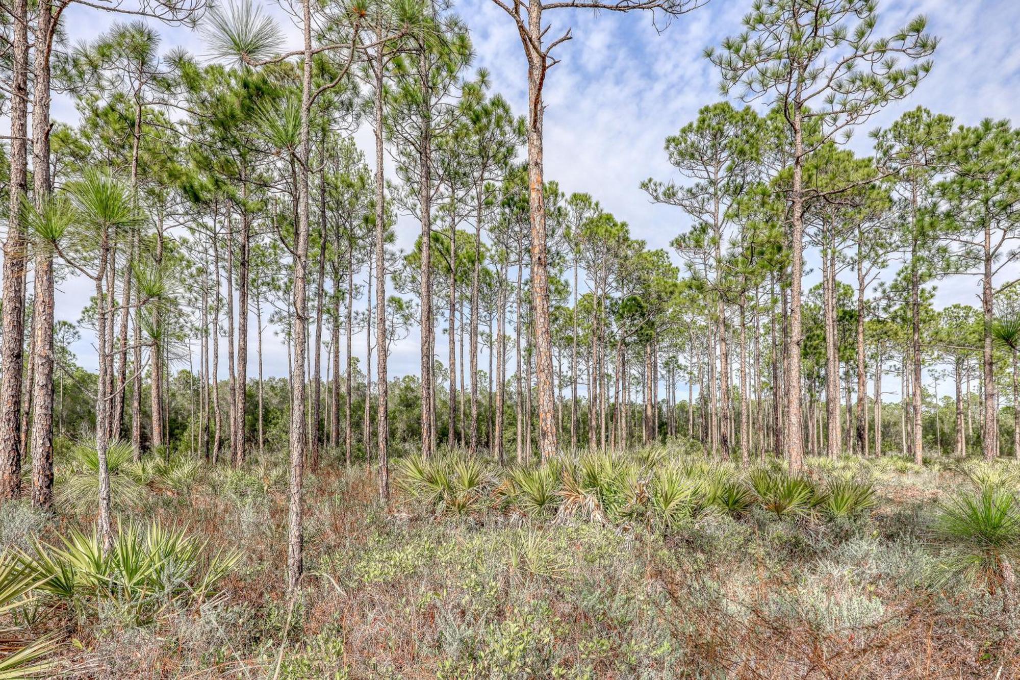 Village Of South Walton B247 Inlet Beach ภายนอก รูปภาพ